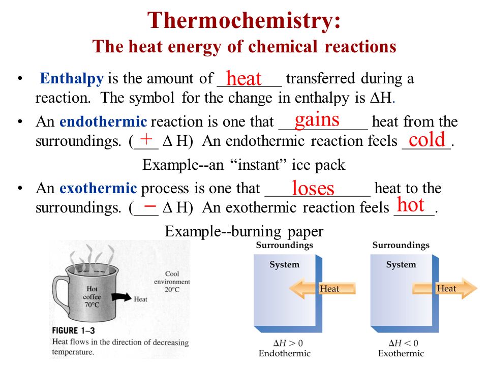 Endothermic and Exothermic reactions Essay Sample